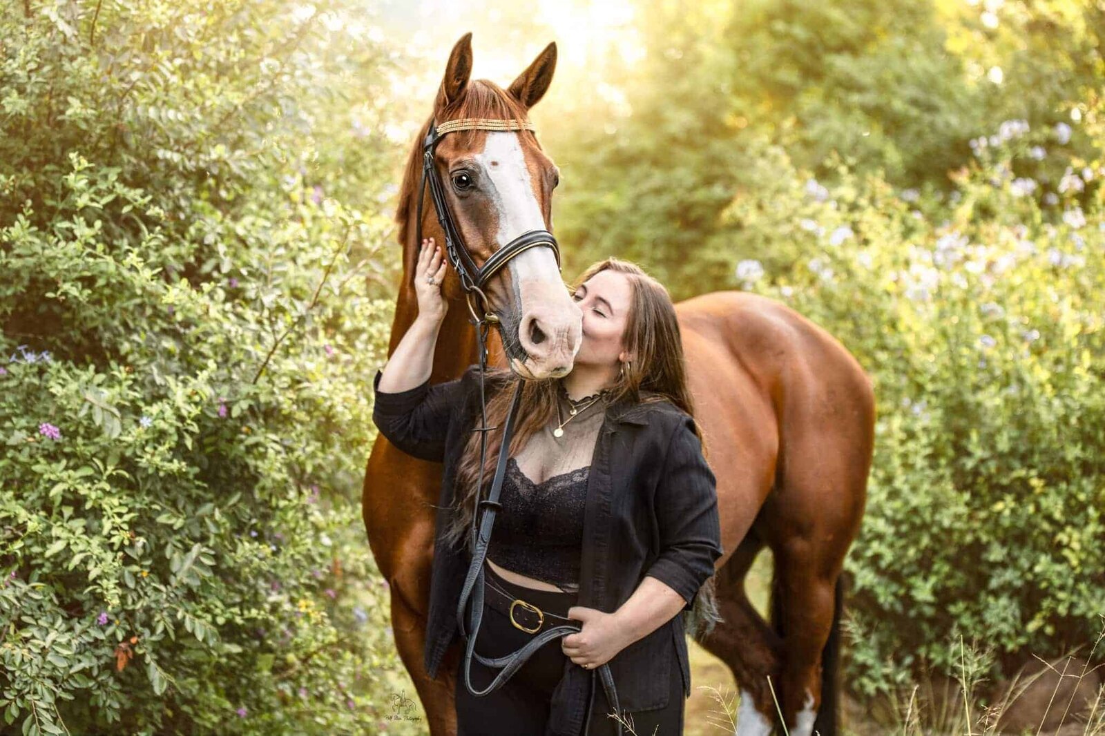 Hills Horse Photographer girl kisses chestnut horse on nose Half Steps Photography_1
