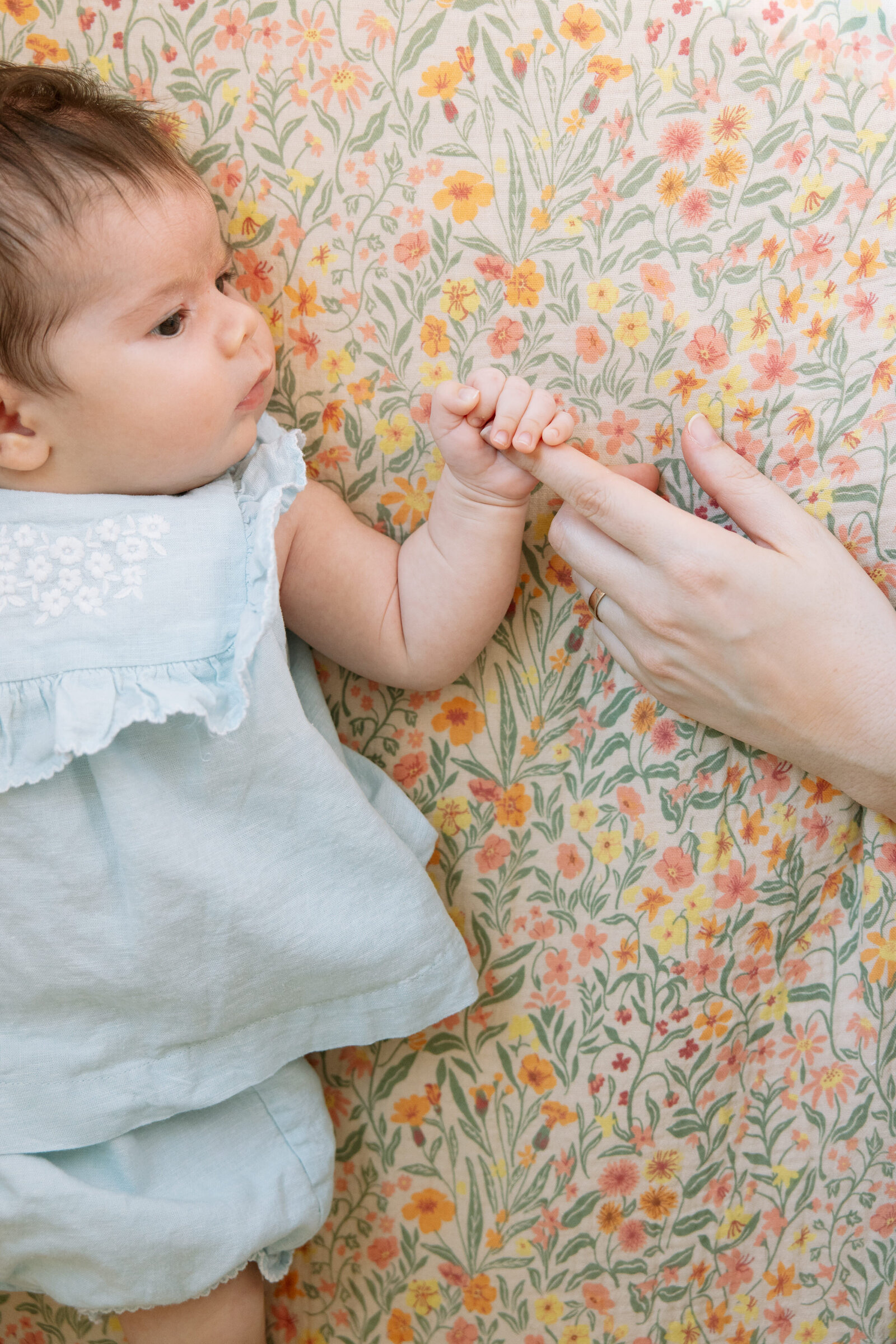 san francisco newborn photography