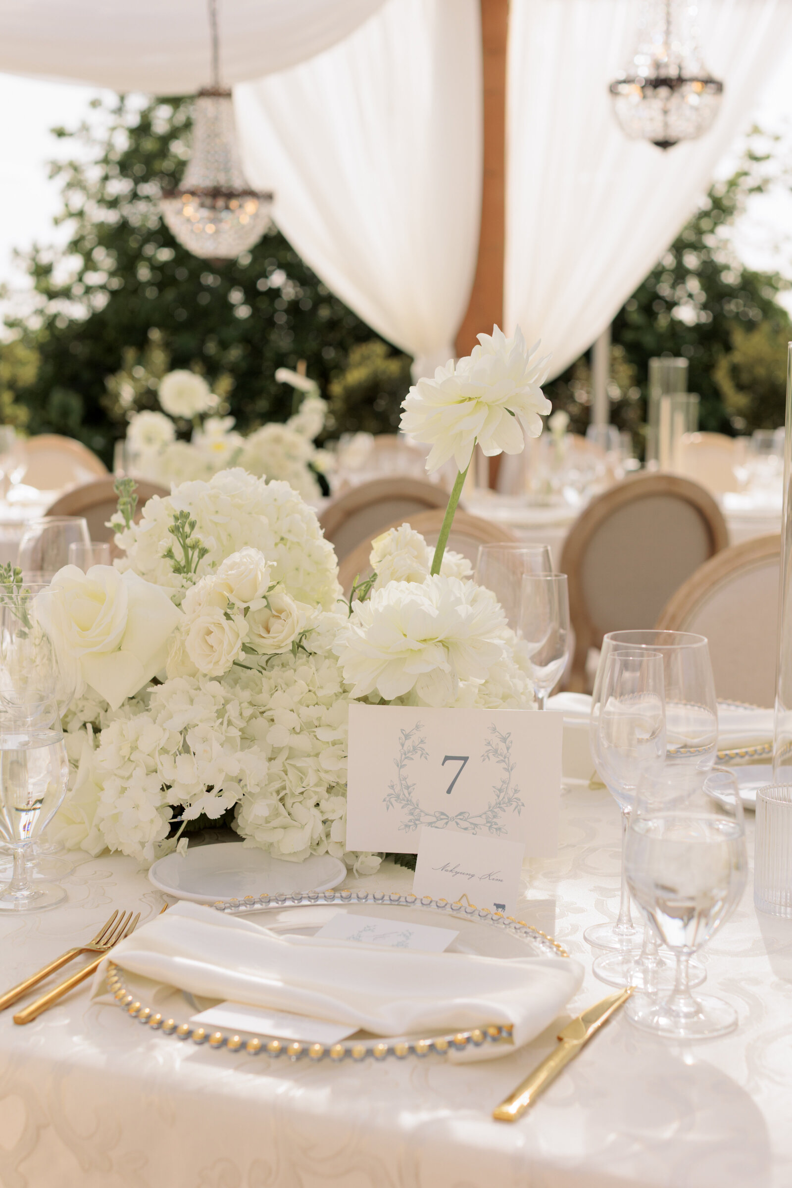Jeune-Perche-Wedding-8