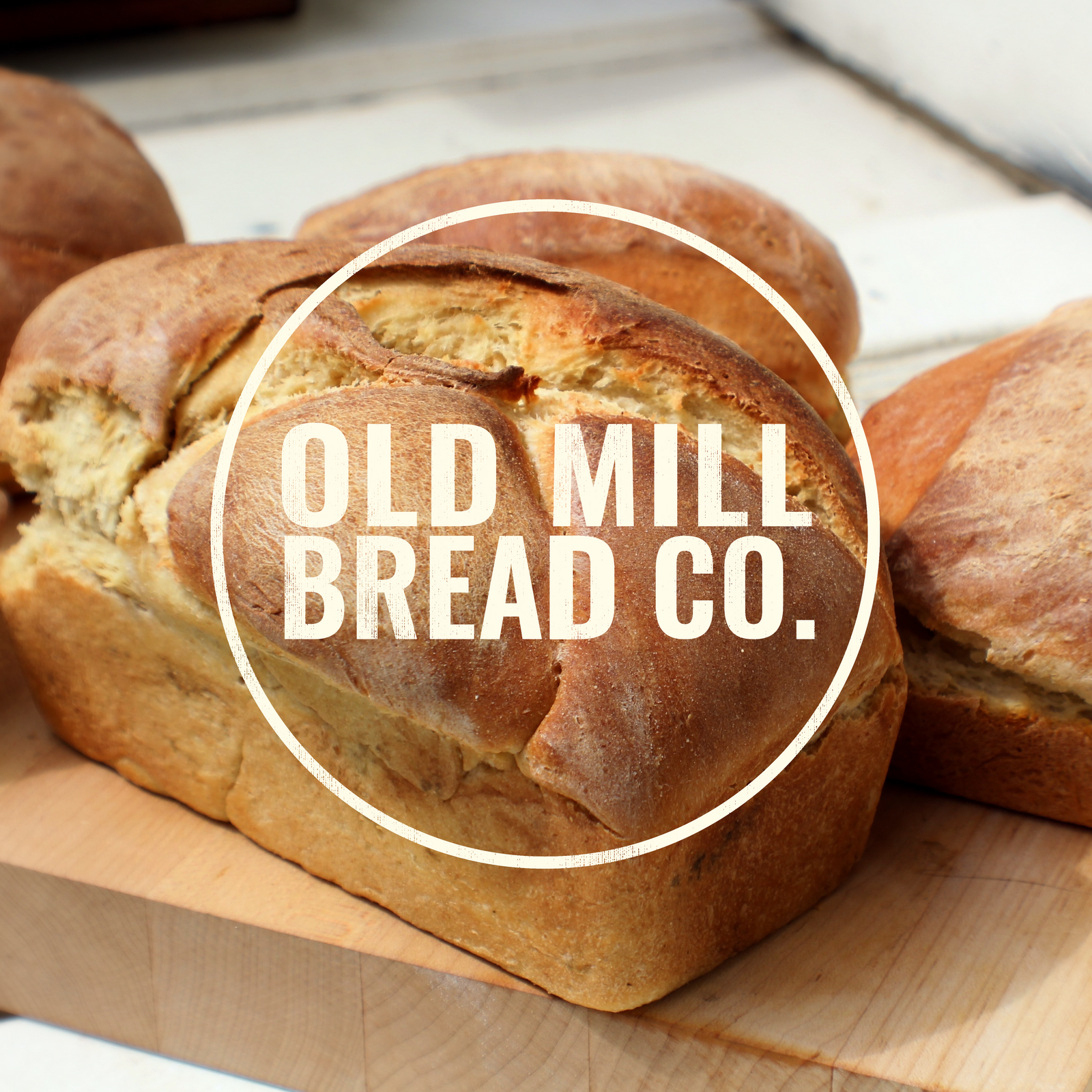 Liberty Type Branding and Website Design Agency Knoxville, Tennessee Therapist Brand Therapist Branding Chiropractor Brand Chiropractor Branding Doctor Brand Doctor Branding Nutritionist Brand Nutritionist Branding Interior Designer20