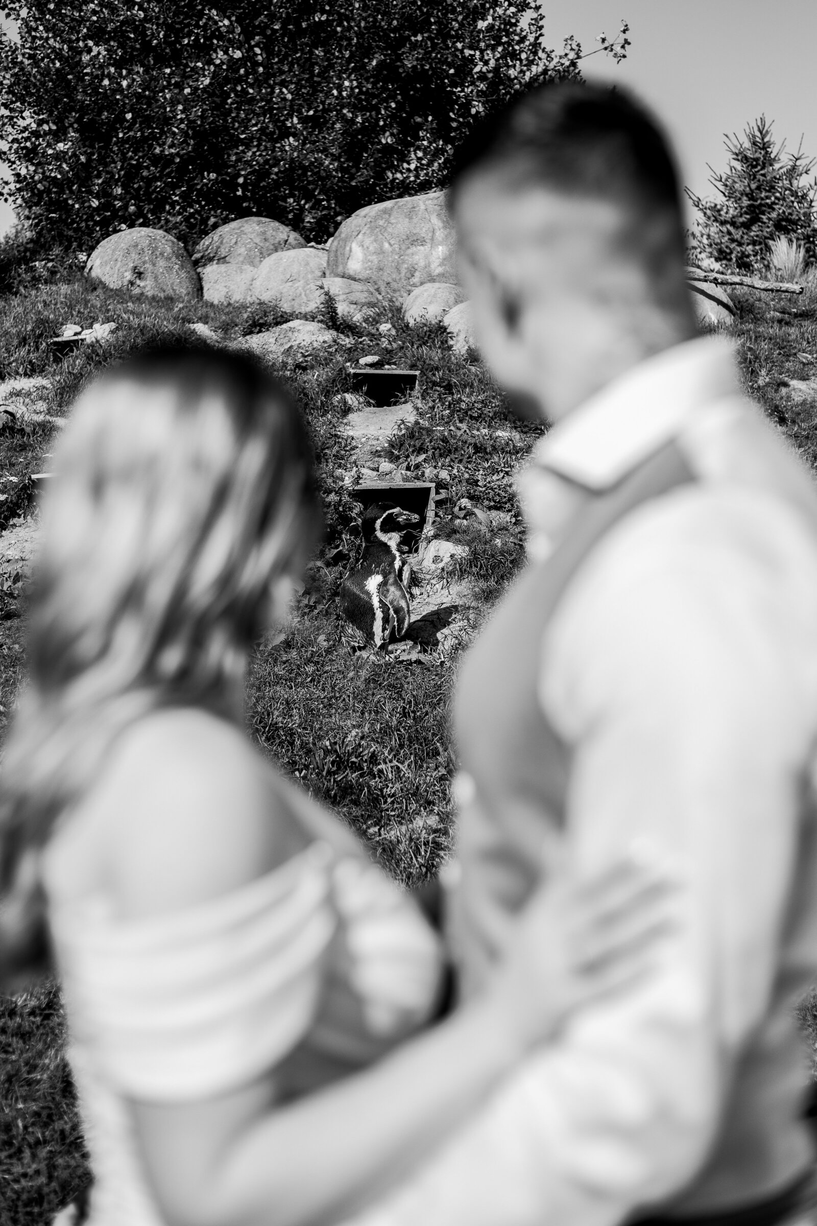 annedenhaanbruiloftxmaikesmay-48