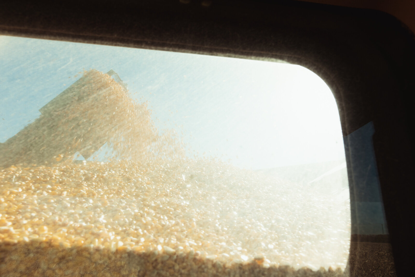 Farm-6