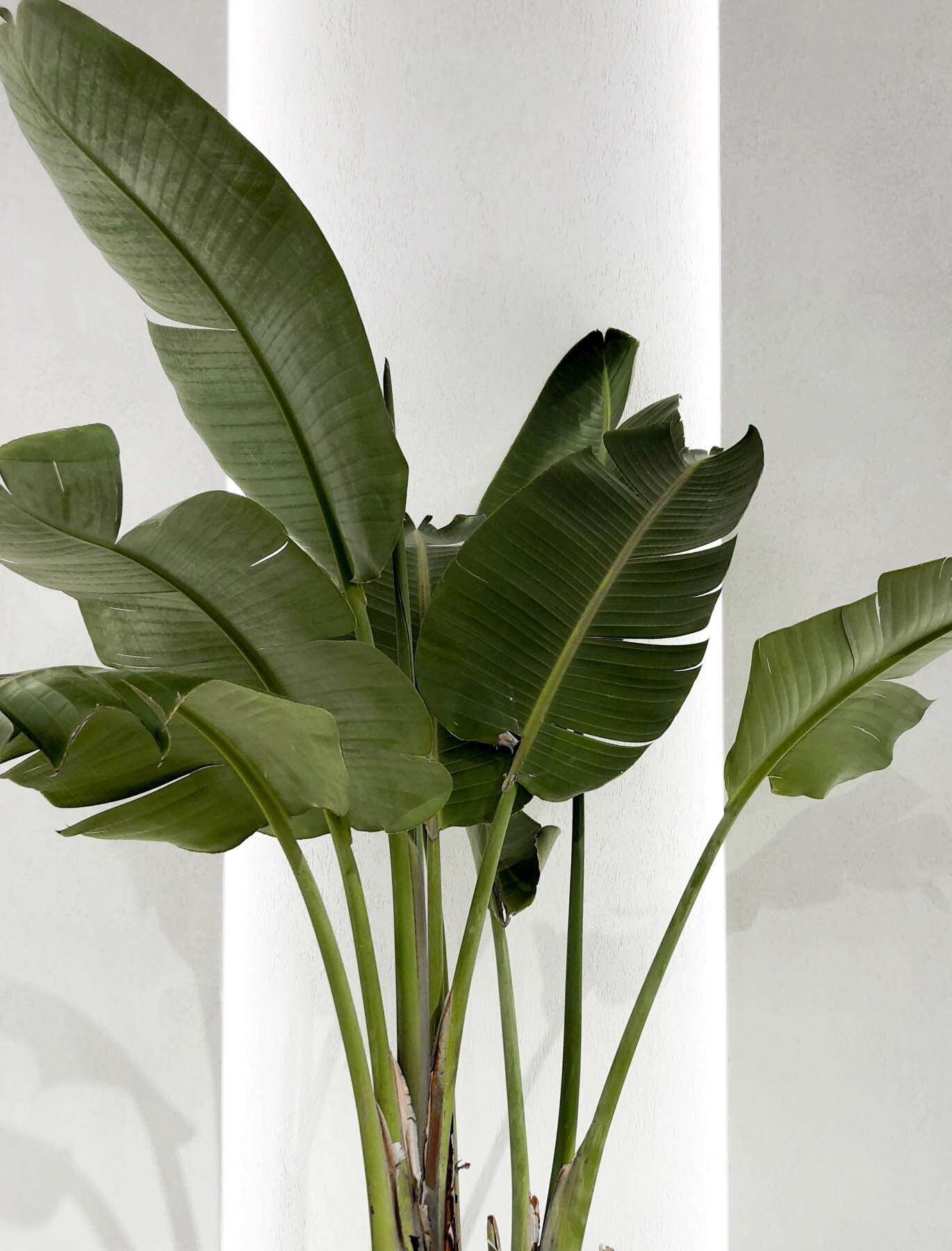 Girlboss-Designer-Interior-Design-Website-Templateq-327