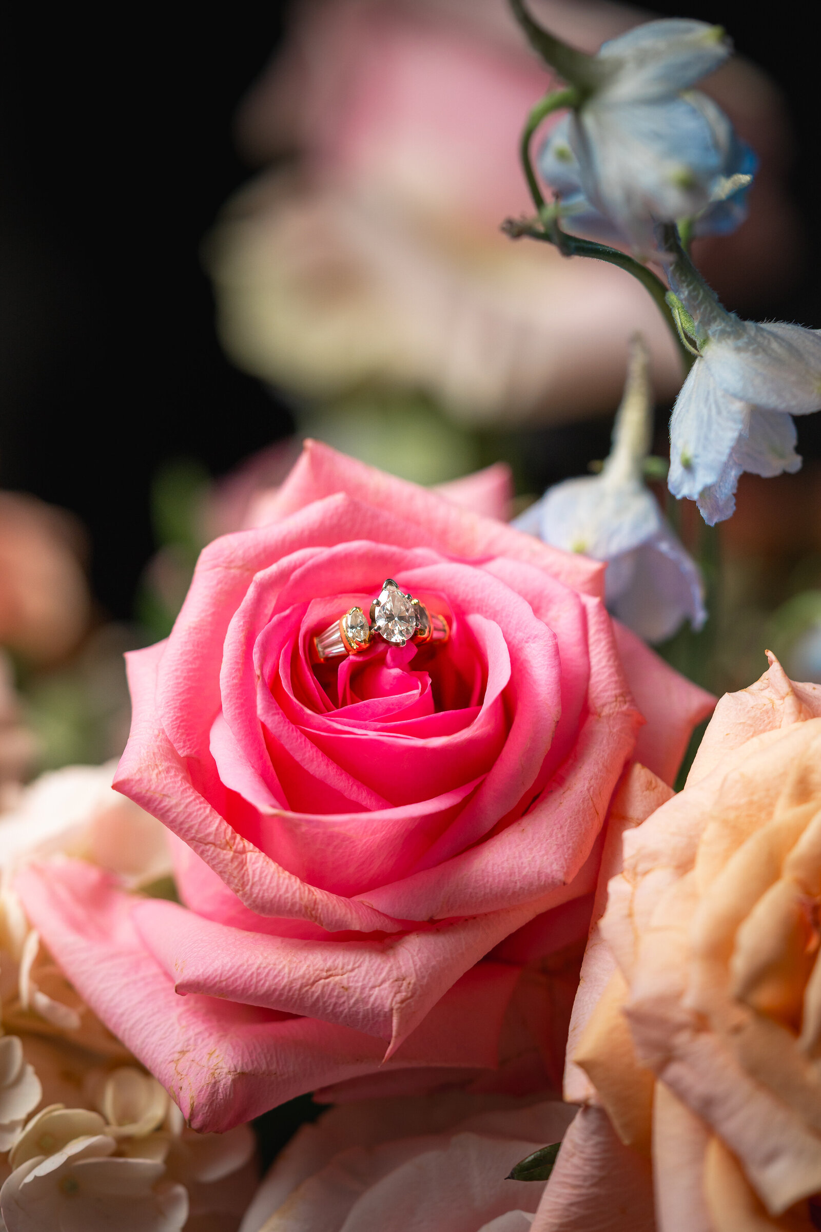 Engagement-Ring-Jewelry-Photography-nyc-photographer-erin-donahue-niredonahue