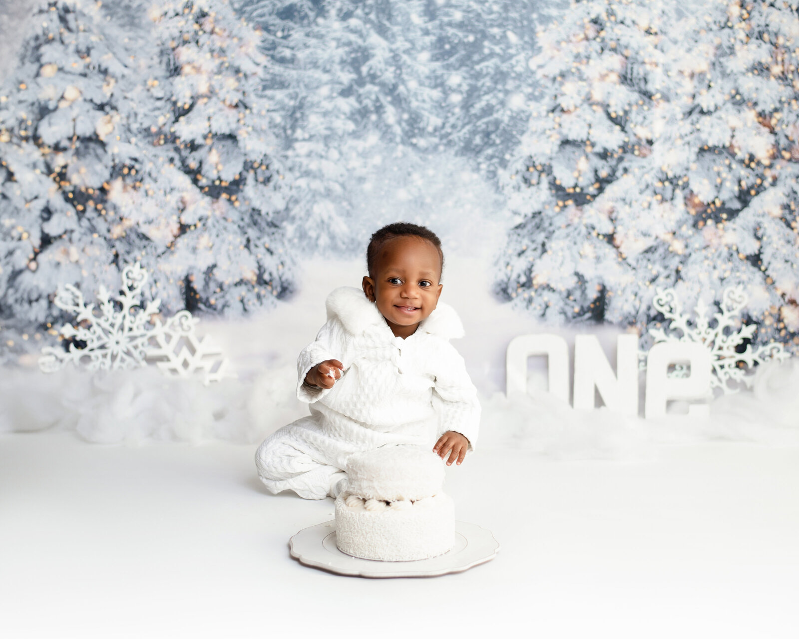 winter theme cake smash one year old photoshoot