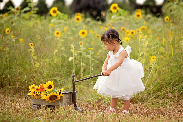 East Brunswick NJ Family Photographer Dories Farm Fresh Flower Sunflower Toddler Girl