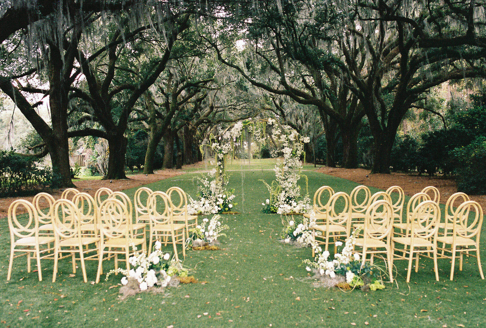 Film photography of wedding ceremony in an outdoor setting under the trees in Charleston, South Carolina