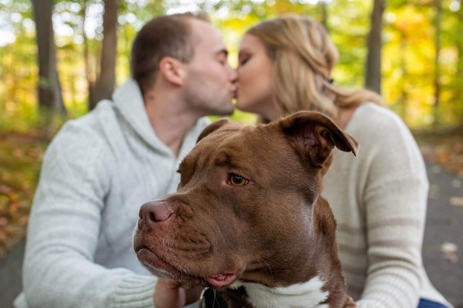 A close-up of a dog with a couple kissing in the background.