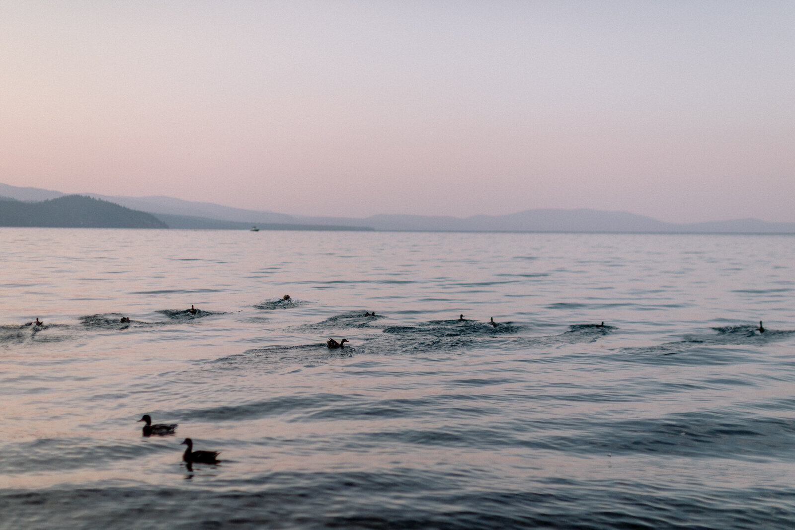 Scott Sikora Photography Valhalla Lake Tahoe Engagement Session-35