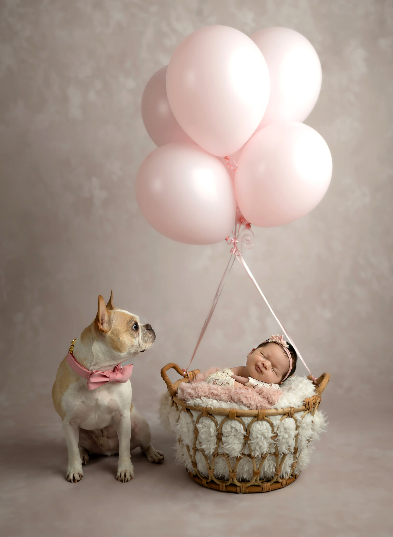 baby portrait studio near me