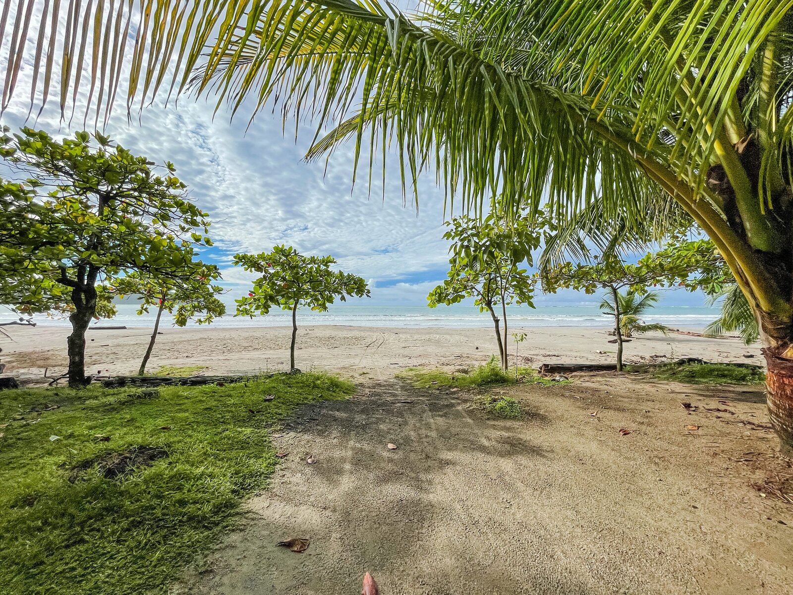 Costa-Rica-Samara-Beach-Surf-Trip-Pura-Vida-0002