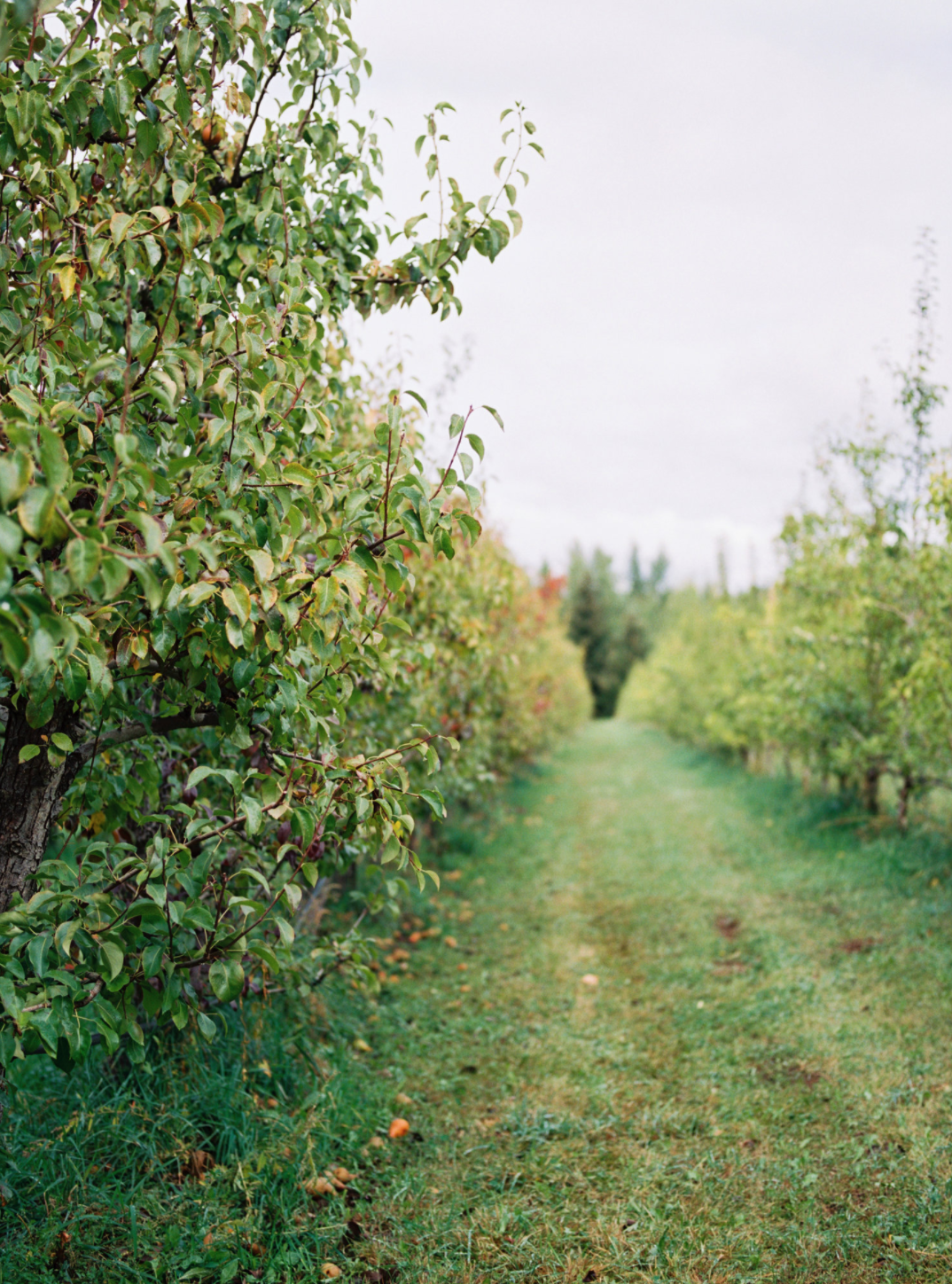 Screen Shot 2020-12-20 at 11.58.41 AM