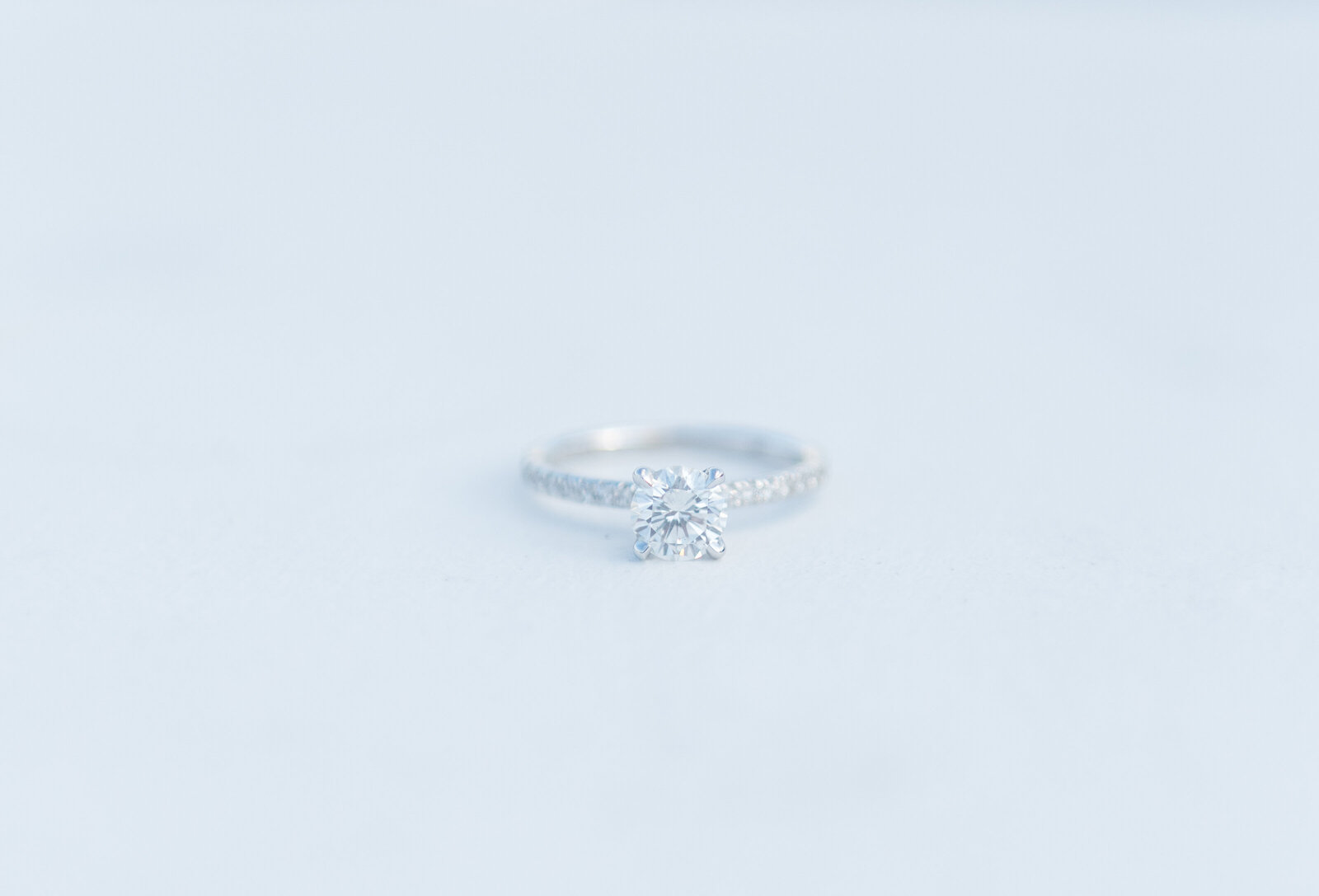 RiveraProposal-15