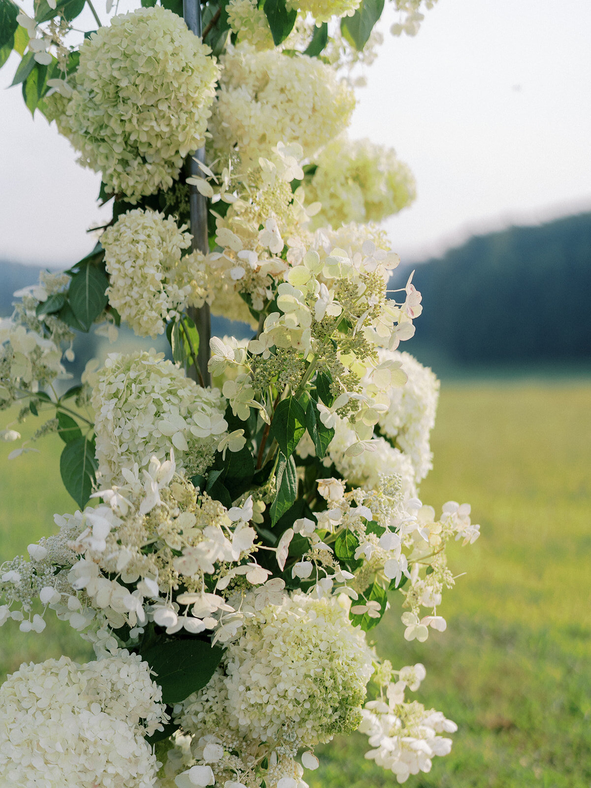 Close up of full coverage floral arch filled with white airy quick-fire hydrangea and limelight hydrangeas
