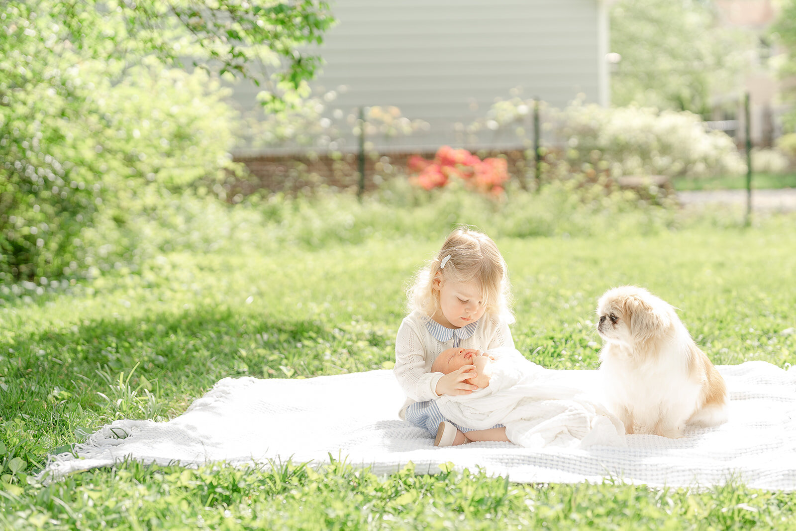 big sister and dog looking at baby during backyard newborn session Leesburg, VA