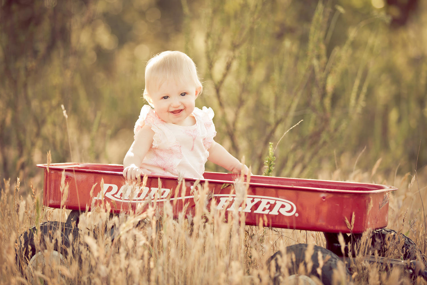 san diego family photography | little girl in a field inside a radio flyer wagon