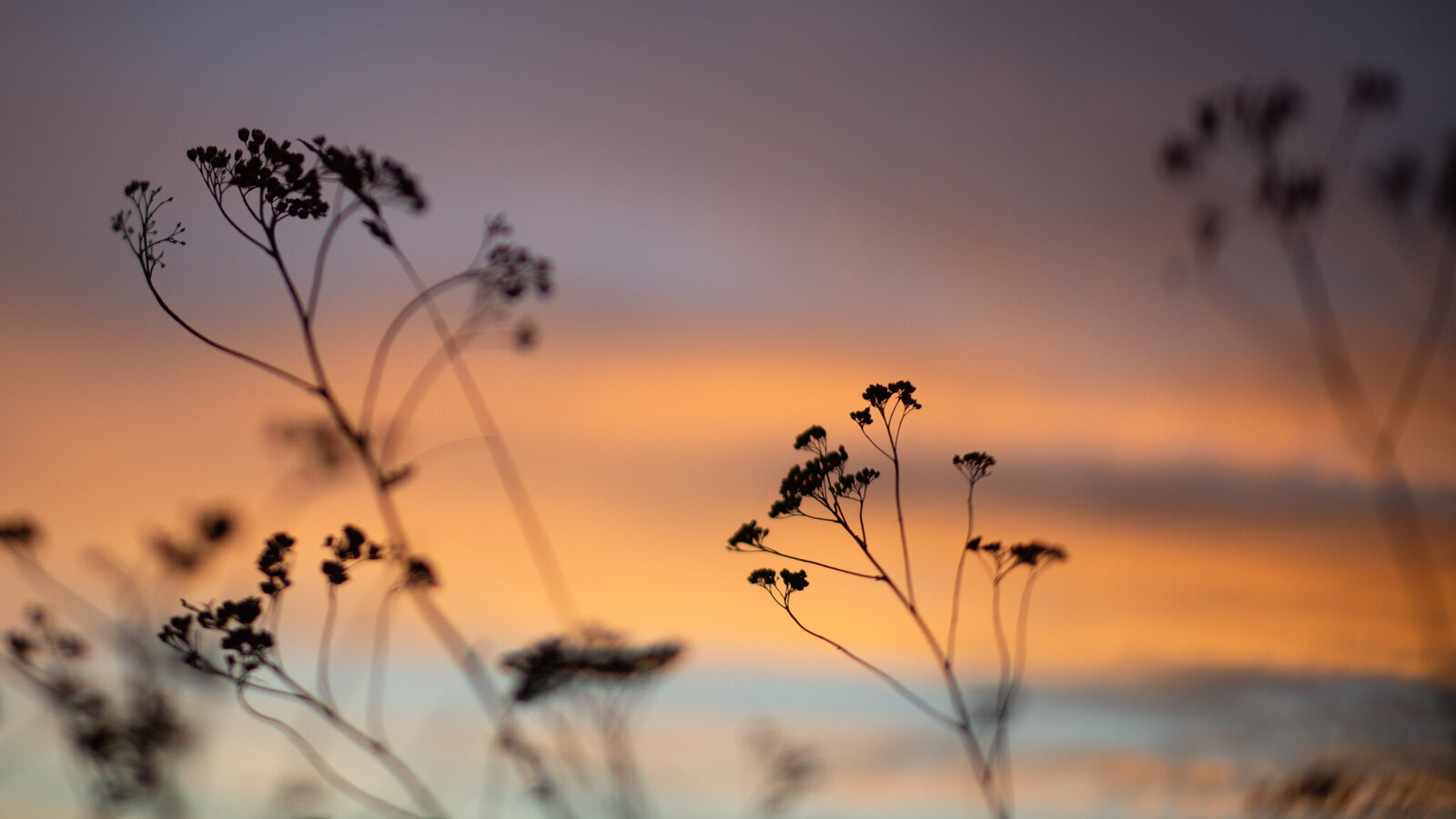 fine_art_photographer _050