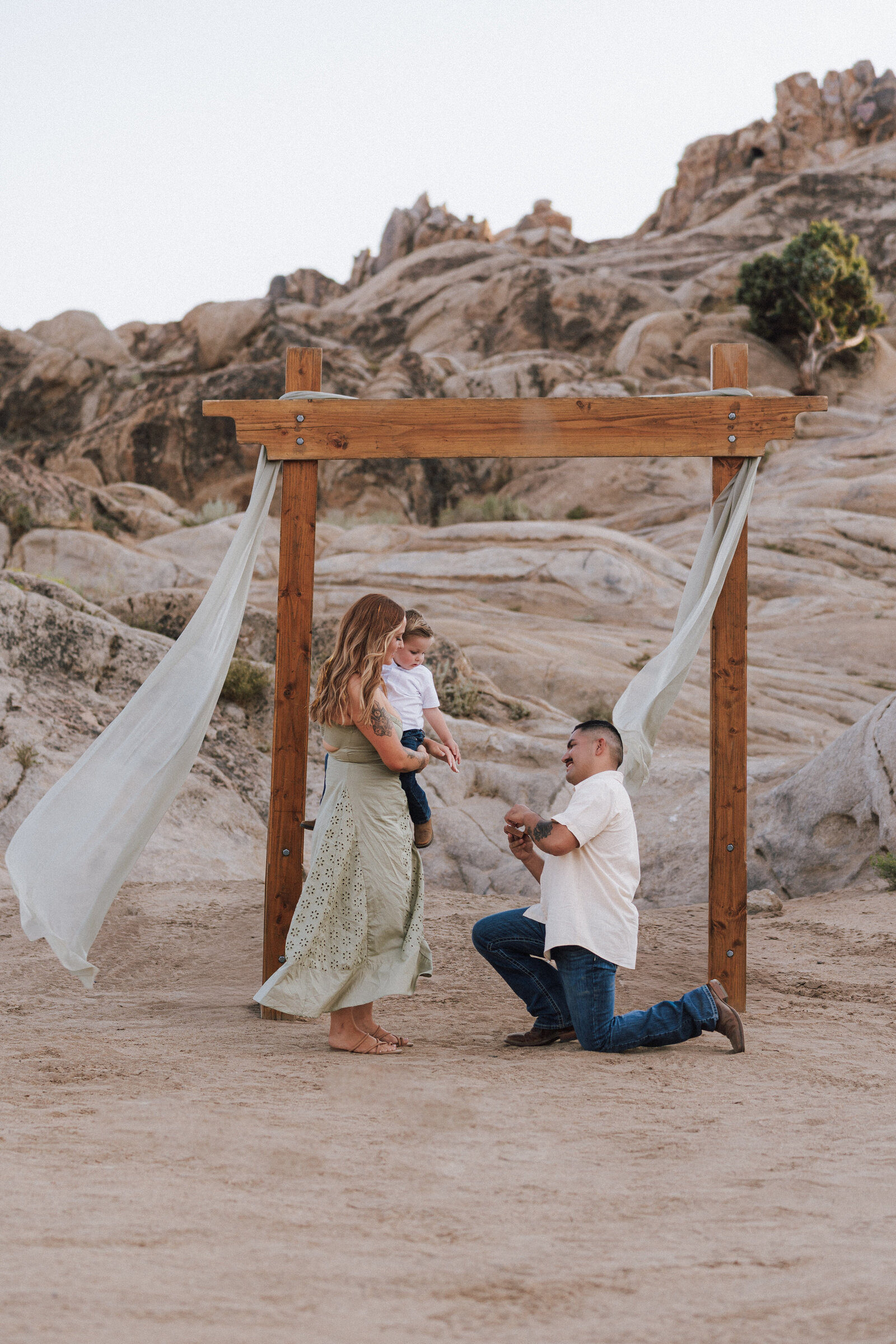 jacqueophoto_henry_tawny-64