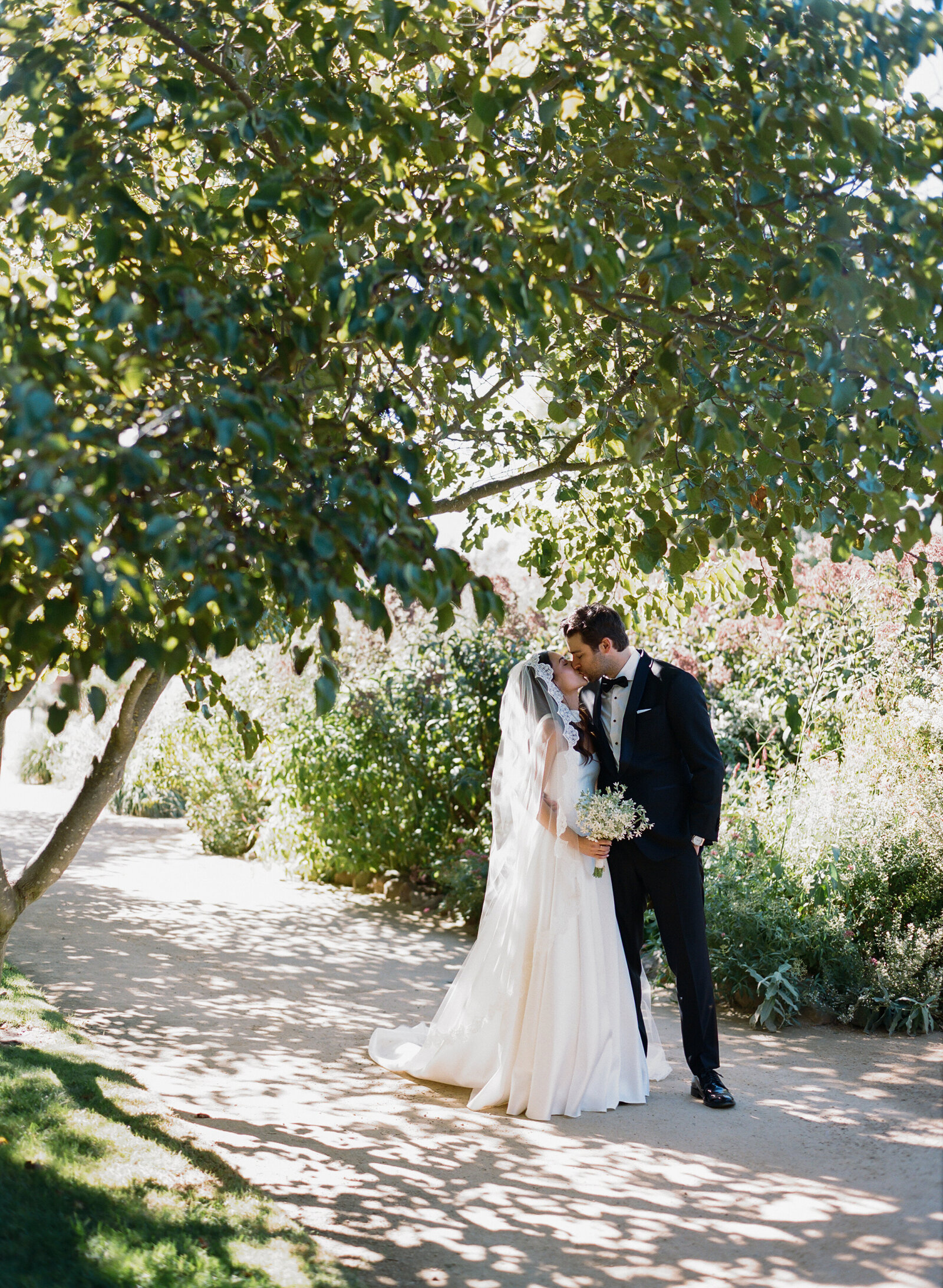 Dani Toscano — Shina & Quinn Overview Web Size-87