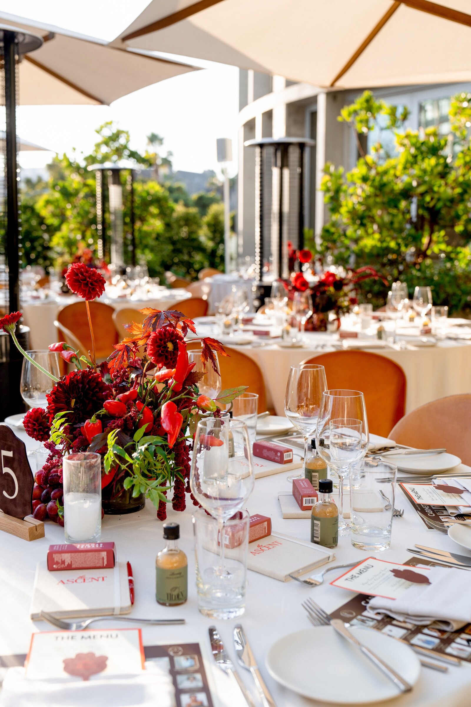 Client Gallery JLT06955