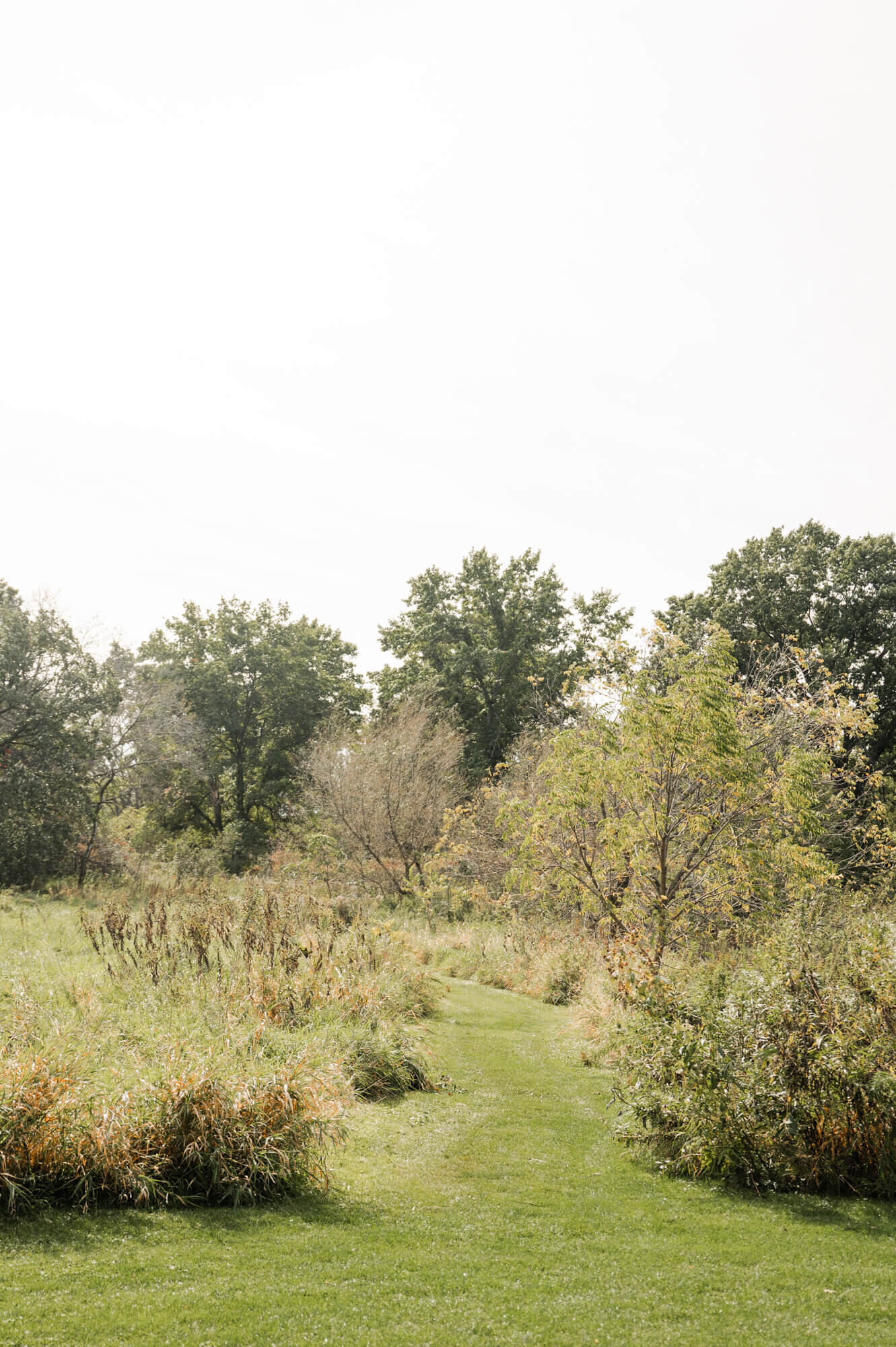 Token Creek County park-4