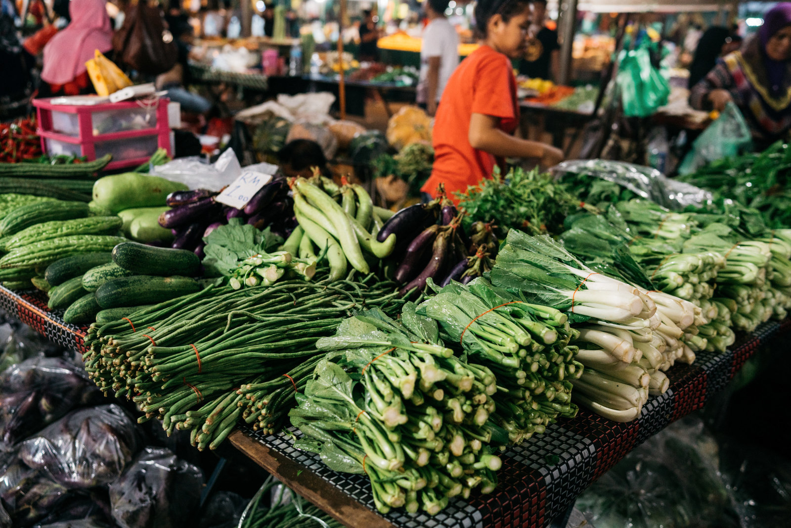 Sasha_Reiko_Photography_Travel_Borneo-14