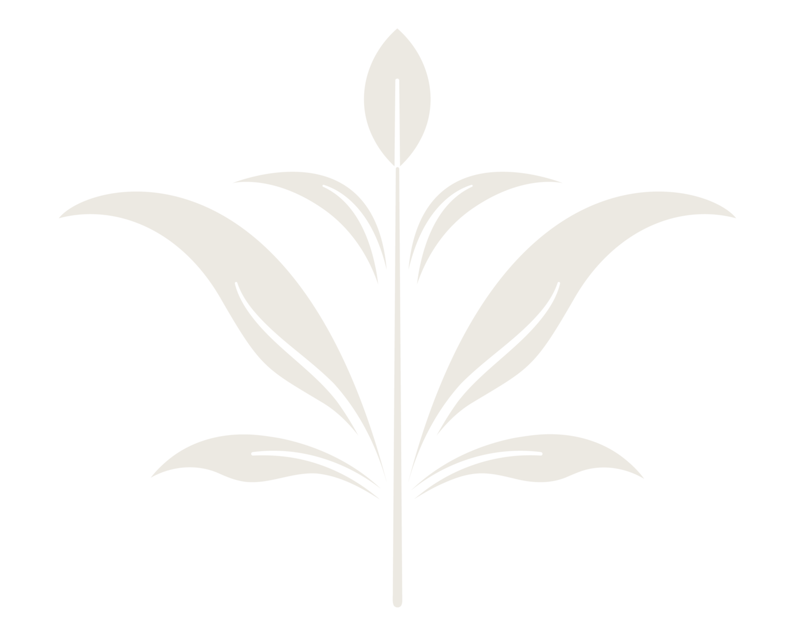 LittleSproutDoula_Graphic2_Fill_Stone