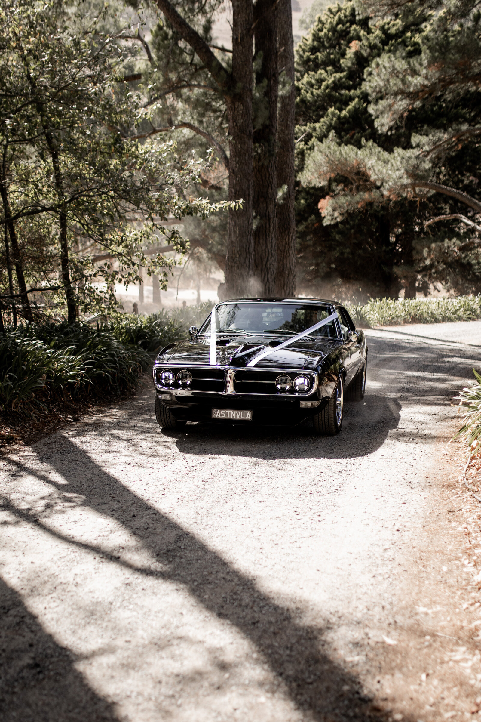 250330-Ilijana-Stephen-Rexvil-Photography-Adelaide-Wedding-Photographer-10