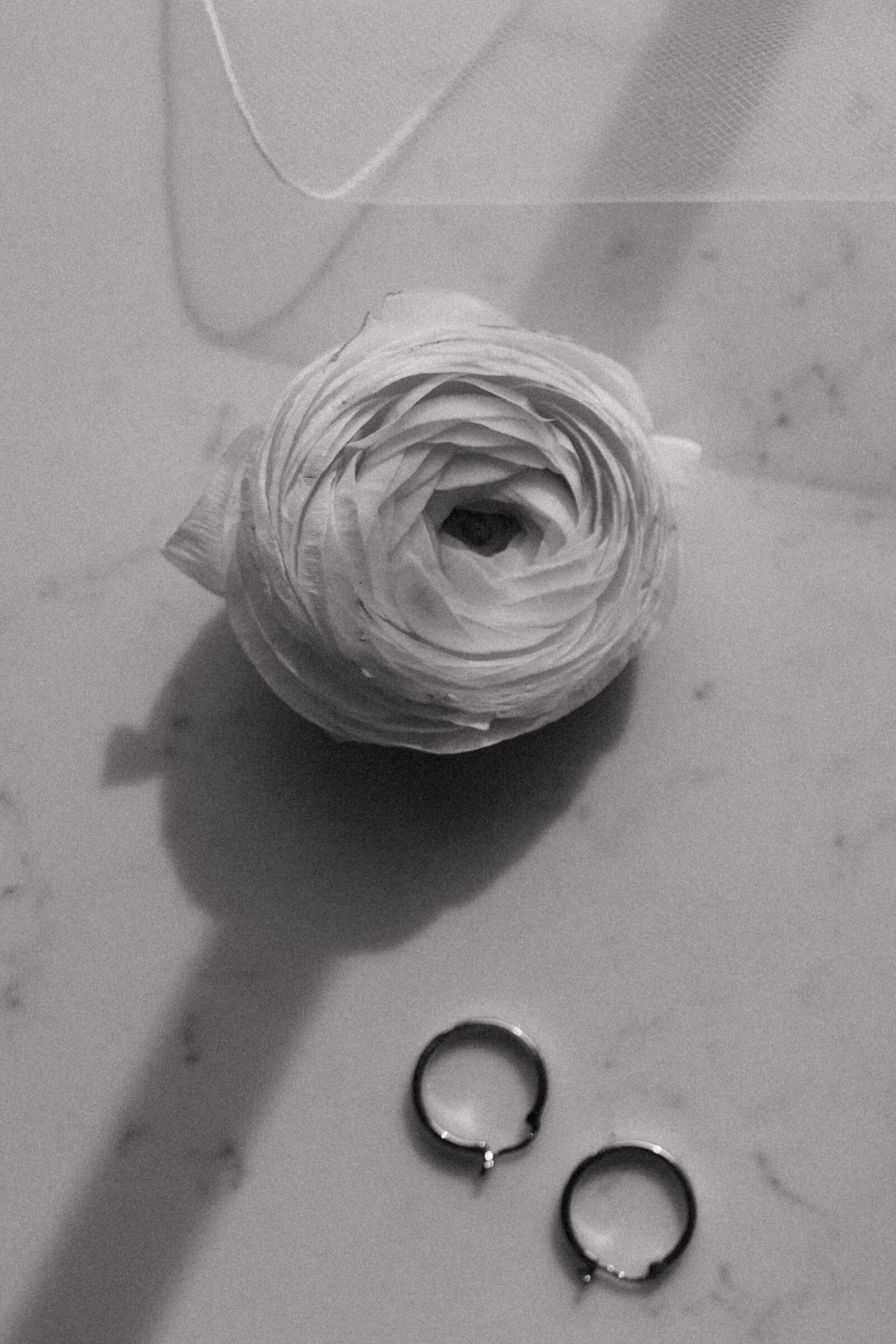 JB Photography - Alberta Golf Course Romantic, Timeless Summer Wedding-10