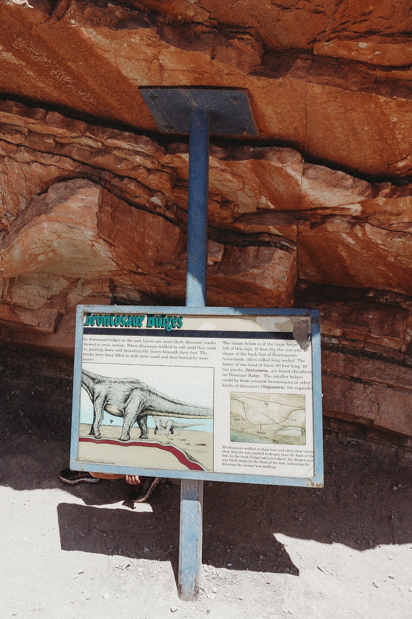 Dinosaur-Ridge_0369