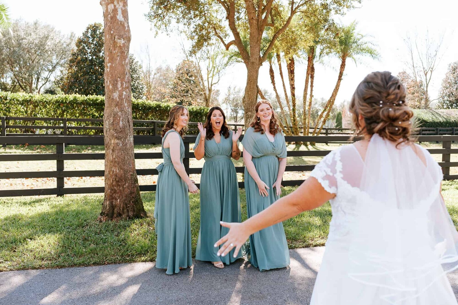 Ocala Florida Wedding - Lakeland Wedding Photographer - Visual Arts Wedding Photography