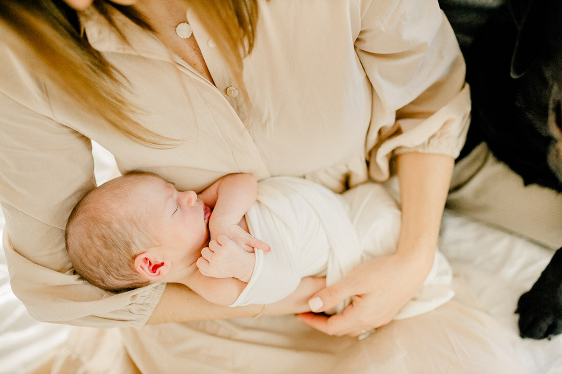 Margot south shore newborn portraits--29