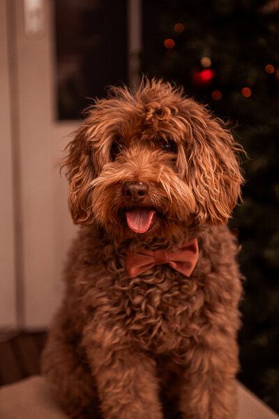 DSC_9753-Edit