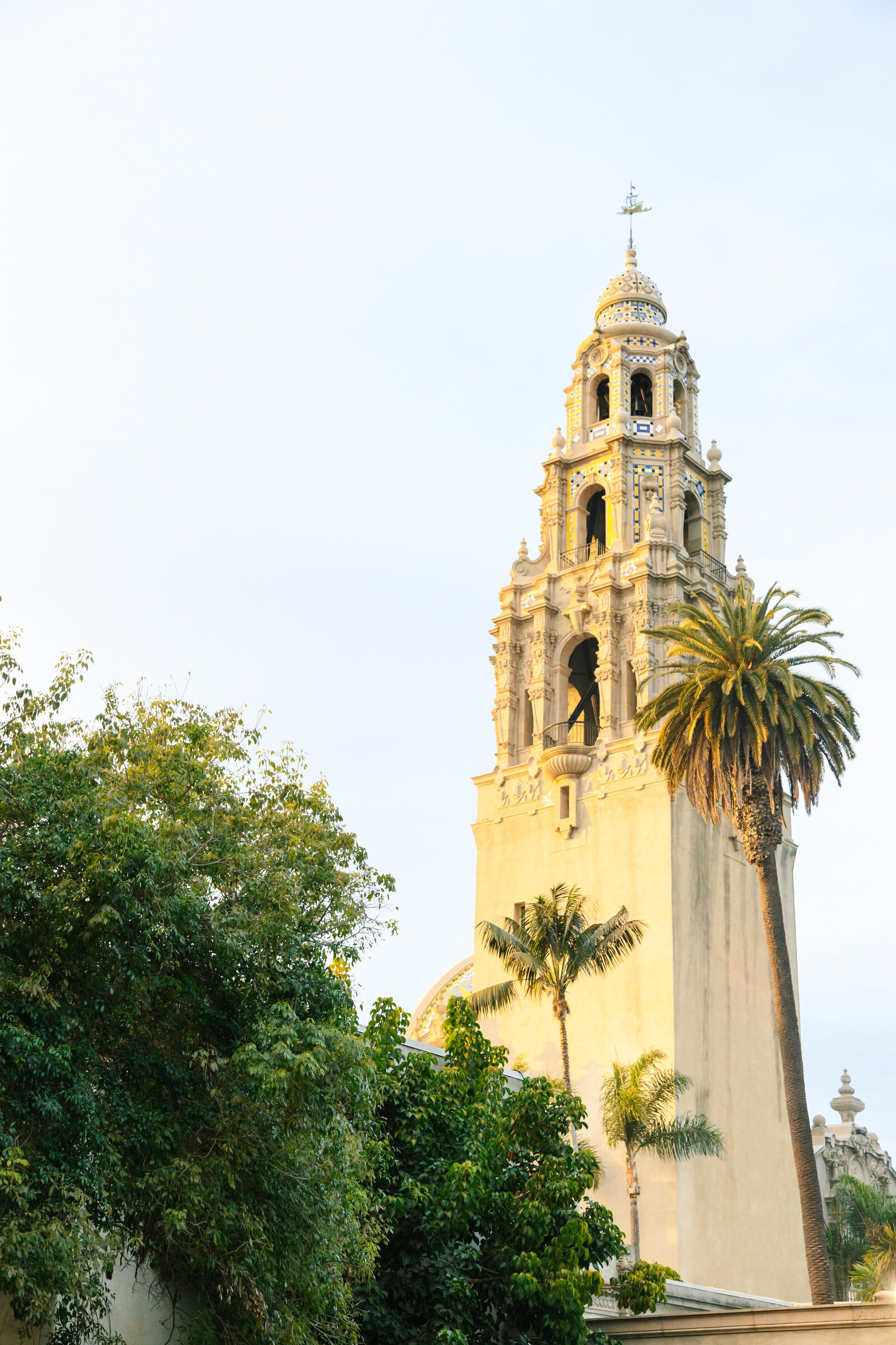 San Diego Proposal-150