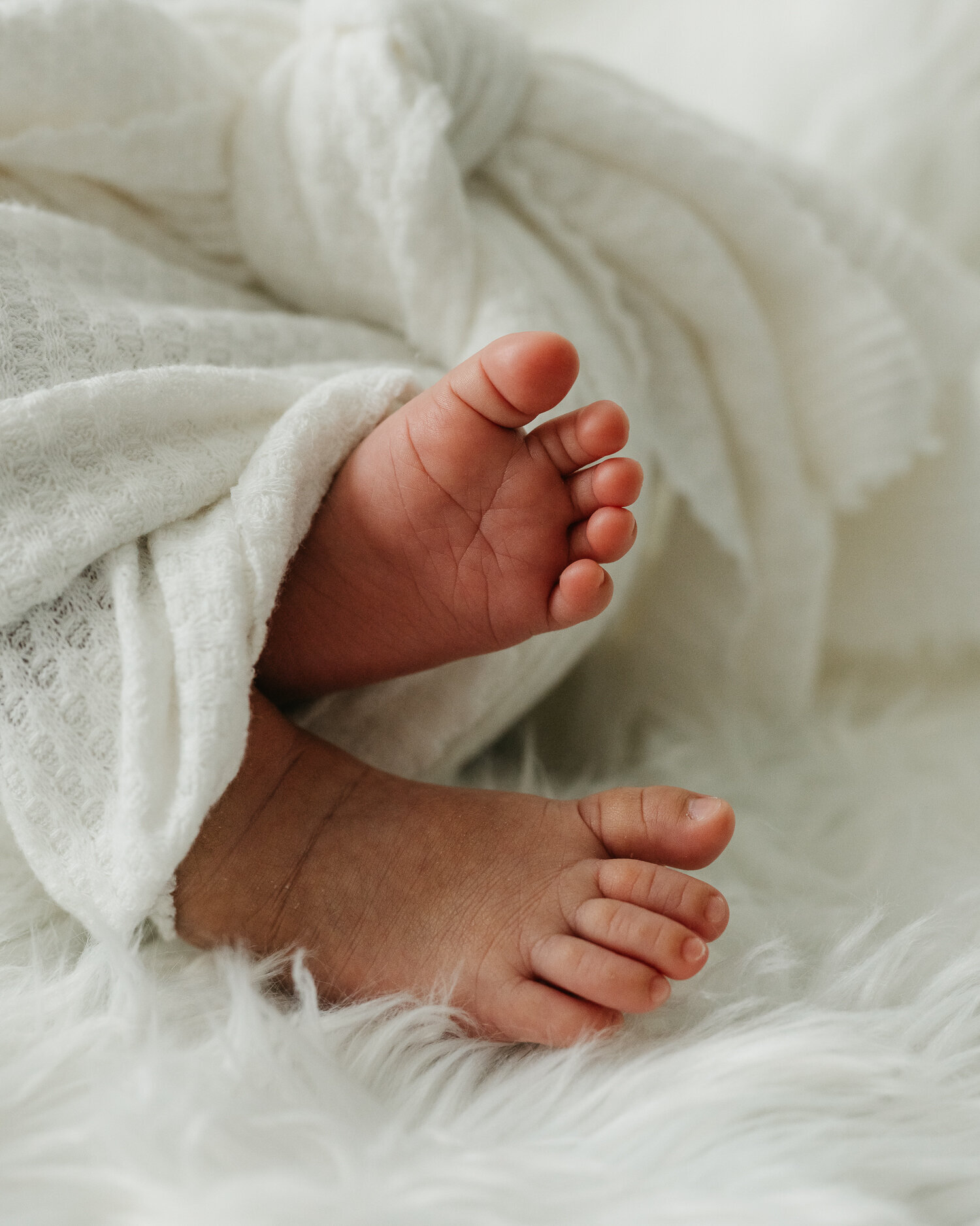 Lake Elsinore Newborn, Motherhood Photographer