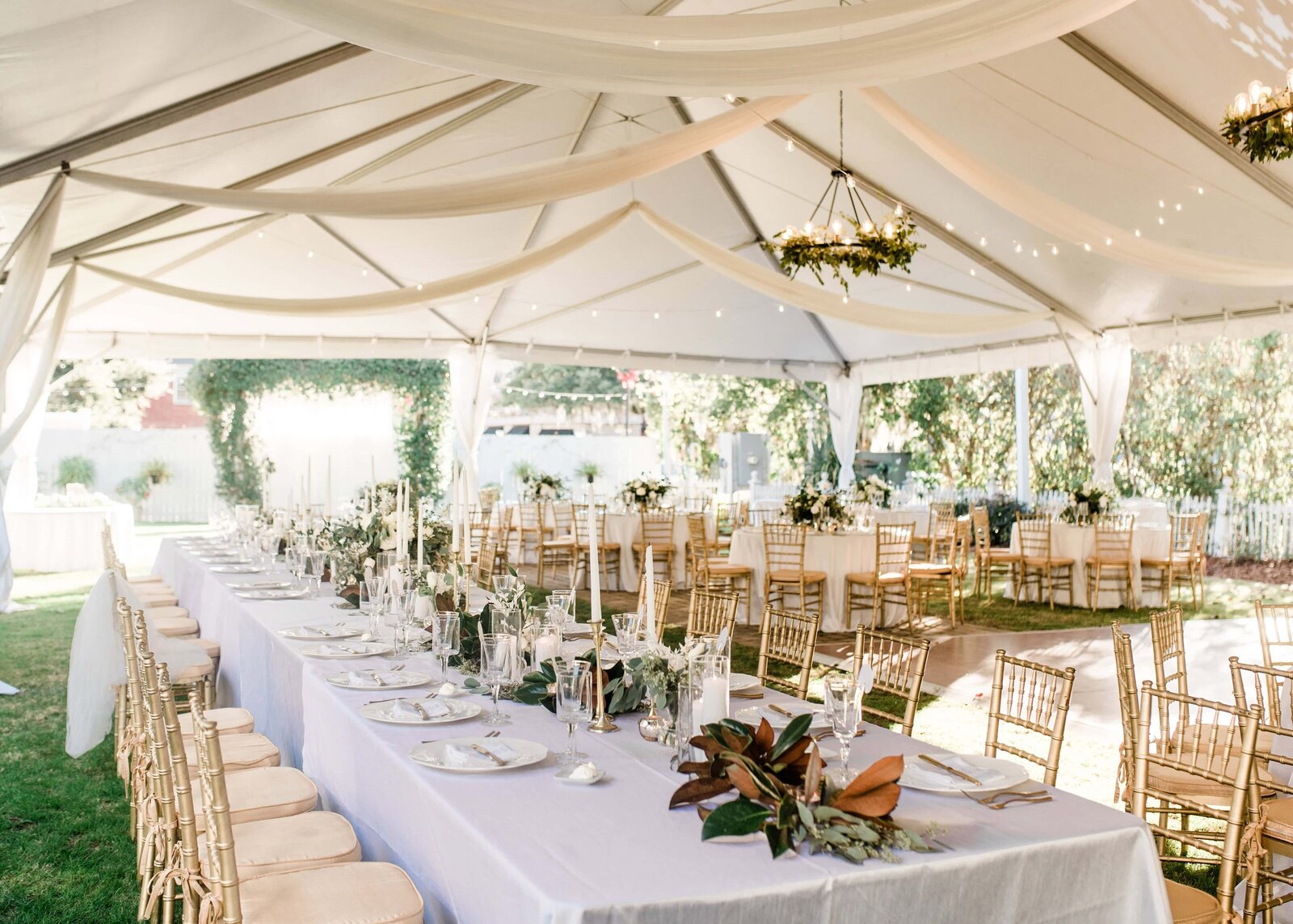 charleston photographers