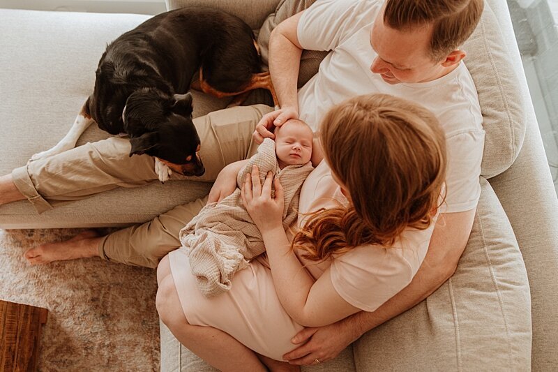 Family newborn photography with dog in Vancouver