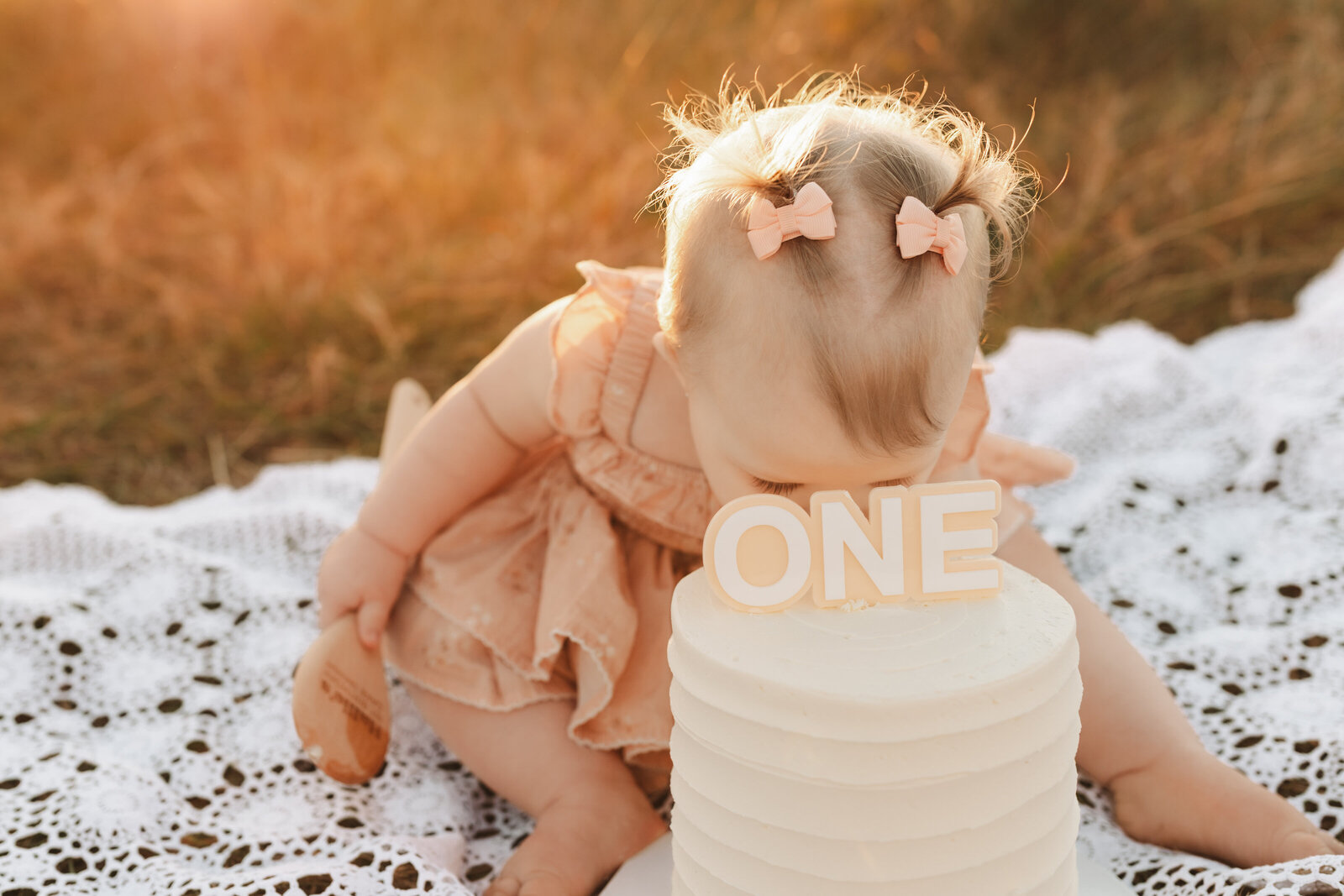 first-birthday-cake-smash-hawkesbury-photographer