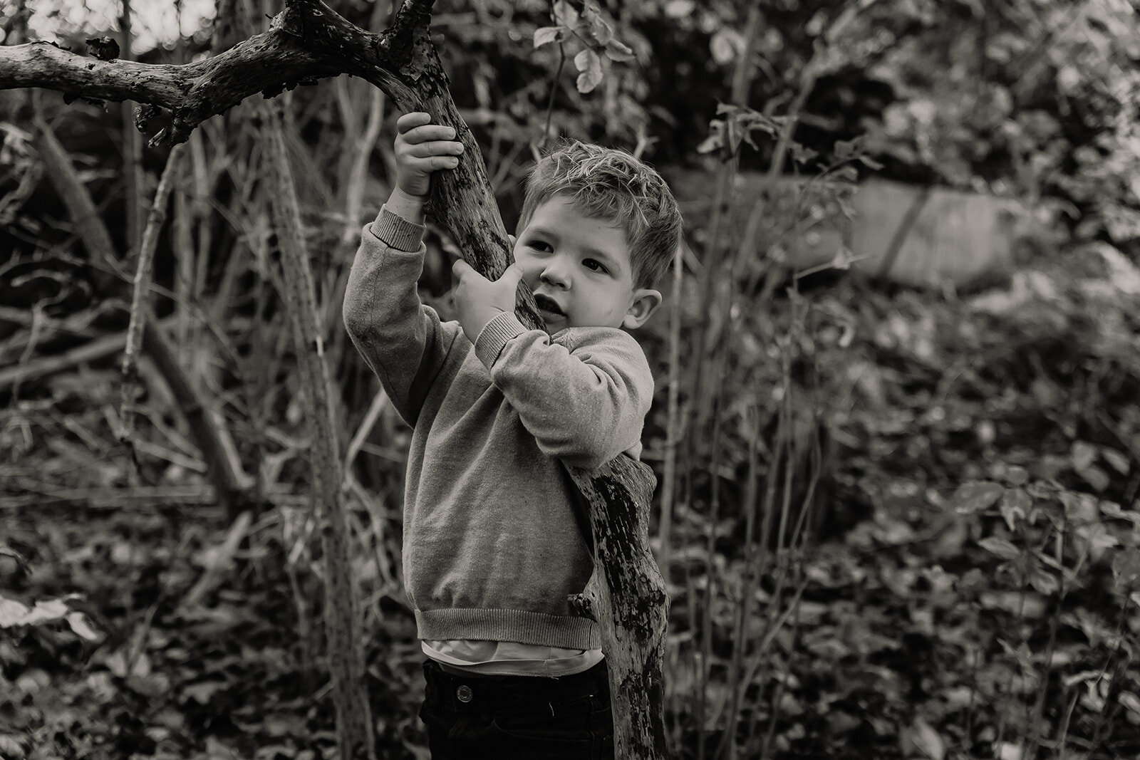 gezinsfotoshoot fotoshoot gezin gezinsfotografie gezinsfotograaf gezinsfotoshoot eindhoven gezinsshoot zwangerschap gezinsshoot buiten spontane gezinsfoto'a slledaags geluk