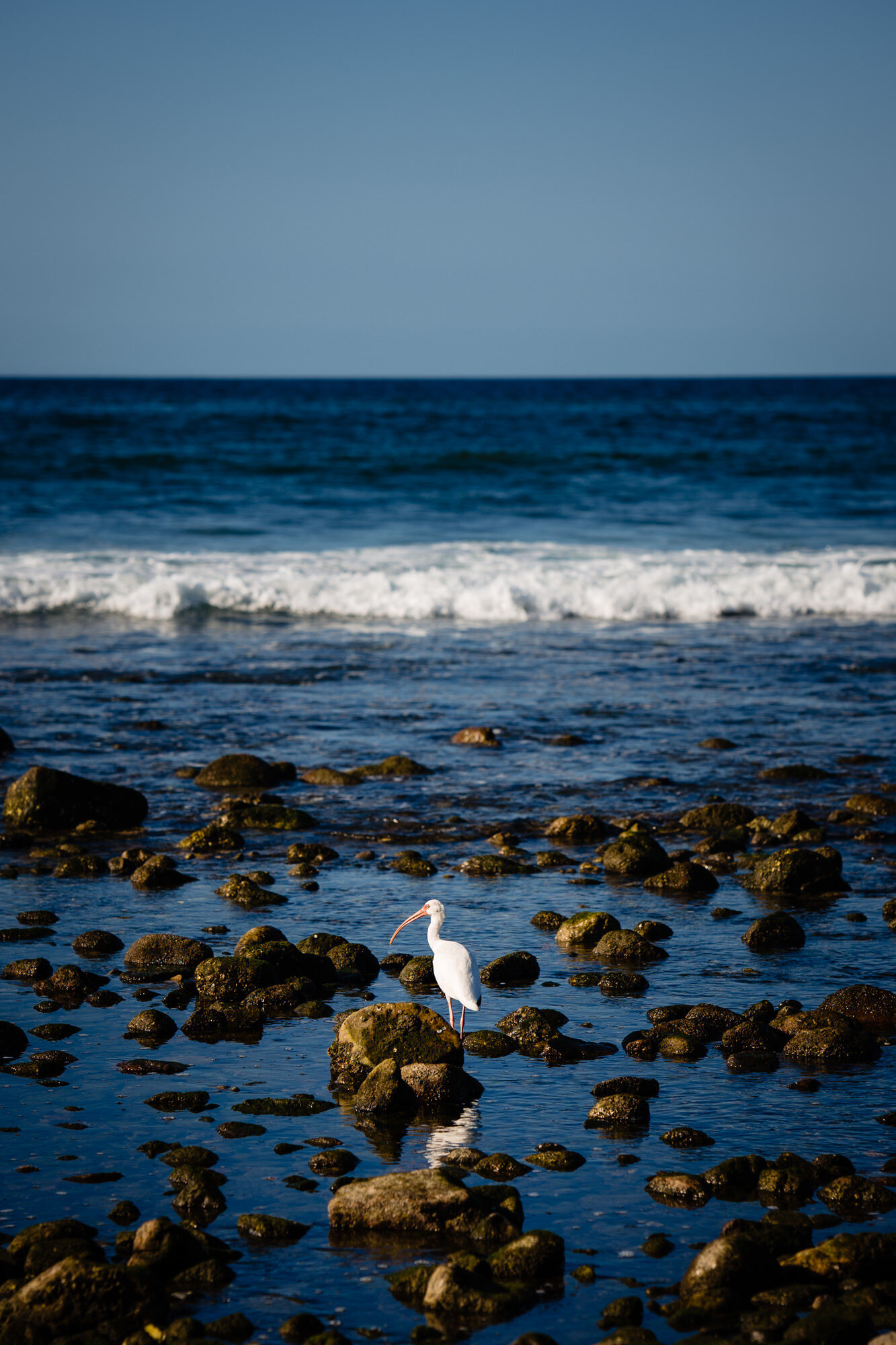 Mexico-CP-WEB-220221-94