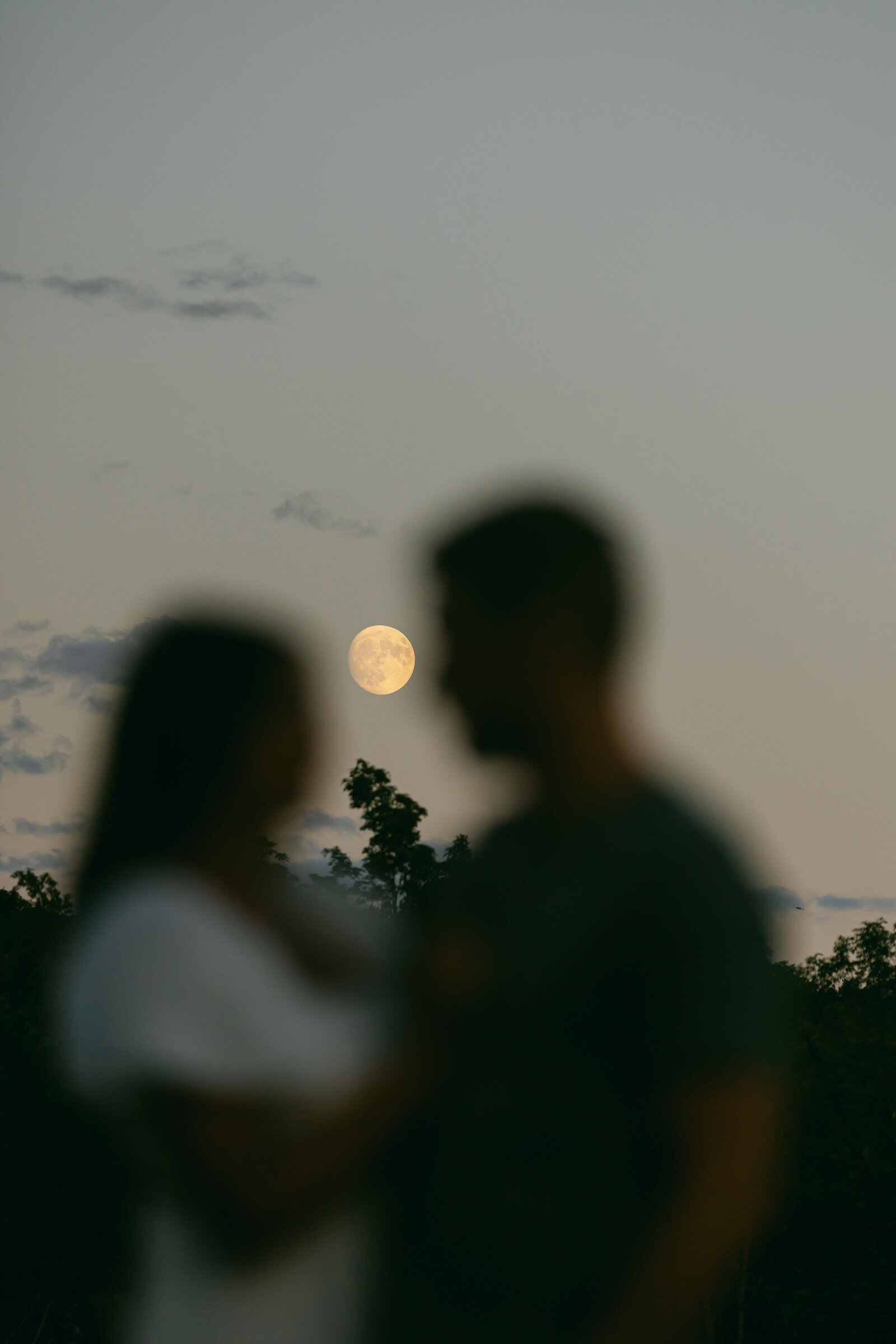 hudson-valley-wedding-photographer-molli-photo-lake-george-saratoga-springs-adirondacks-upstate-ny-1