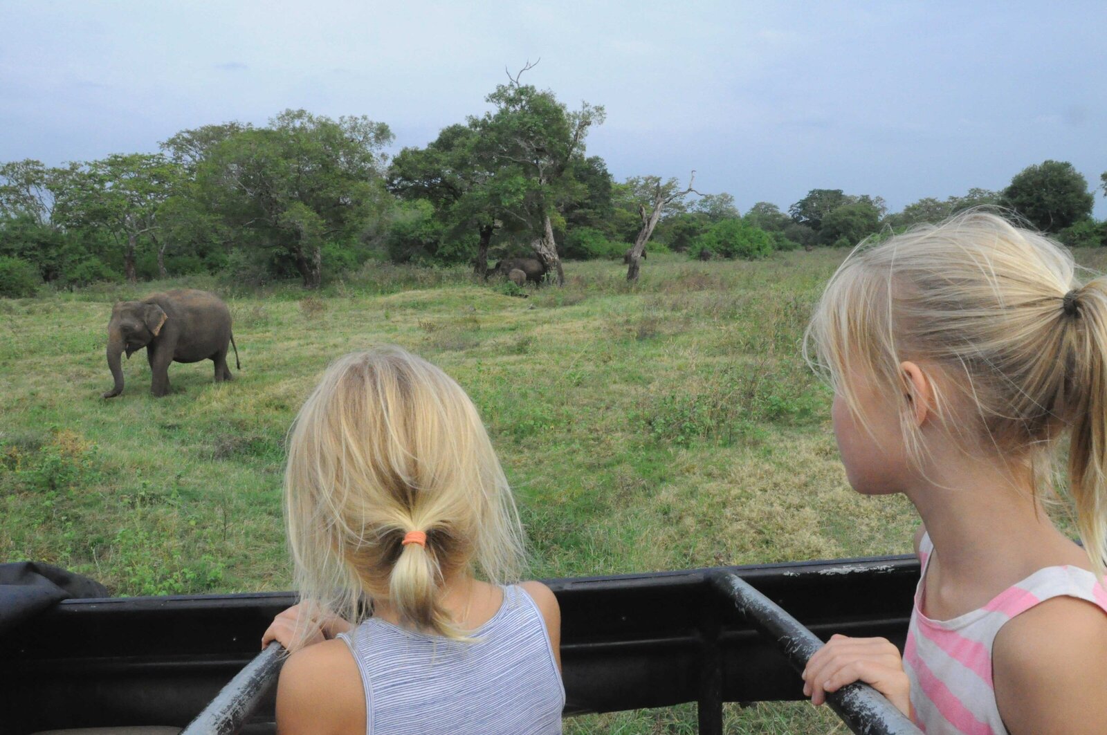 olifanten-spotten-Yala-National-Park-Sri-Lanka