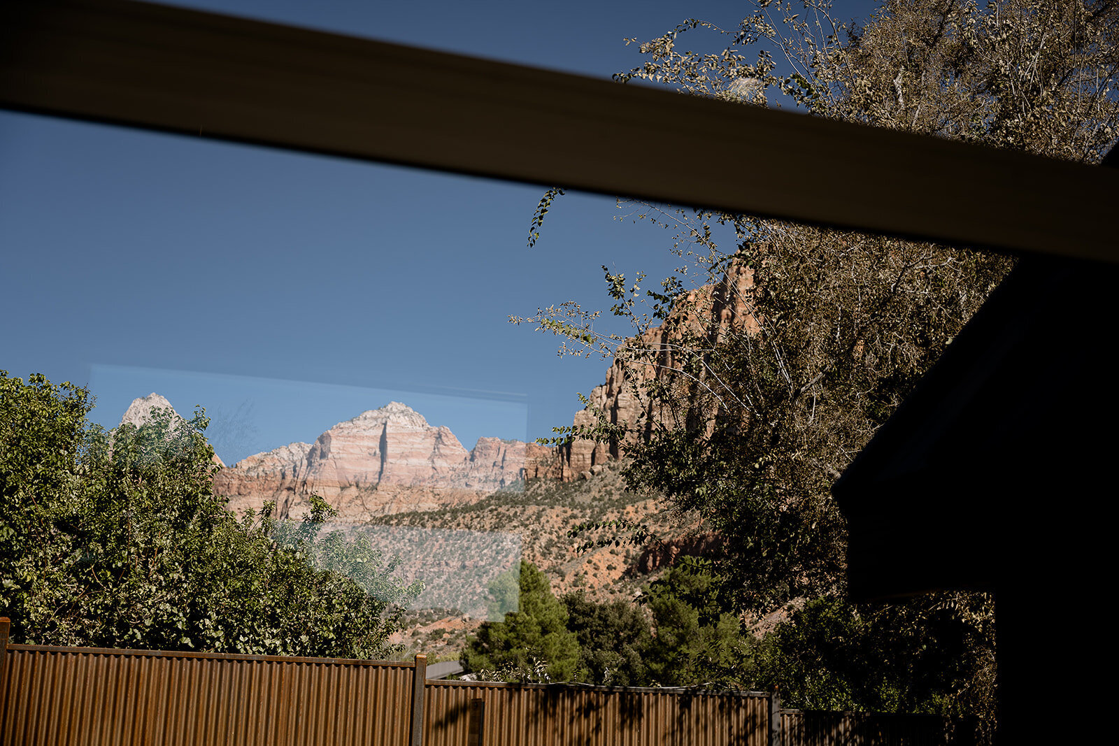 Zion-Elopement_Beccaphoto-461