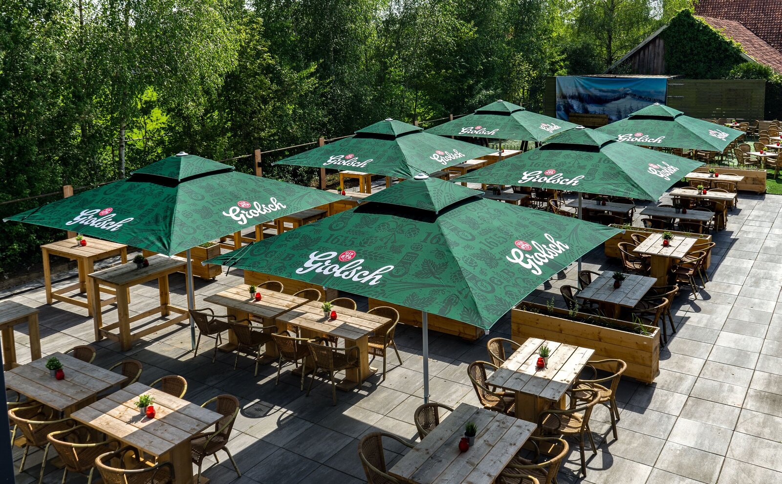 Terras 1