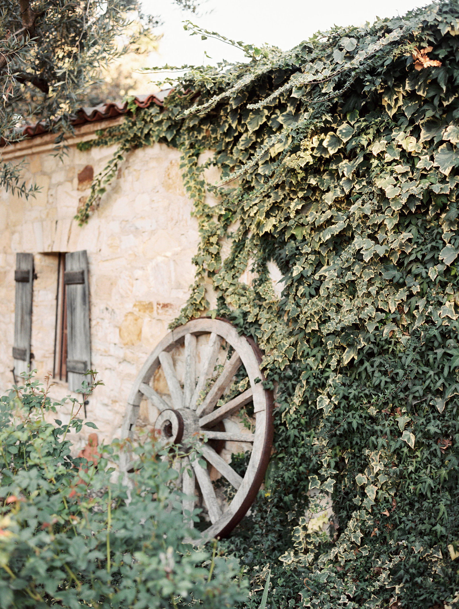 20161113-BlairJeff_0084 copy