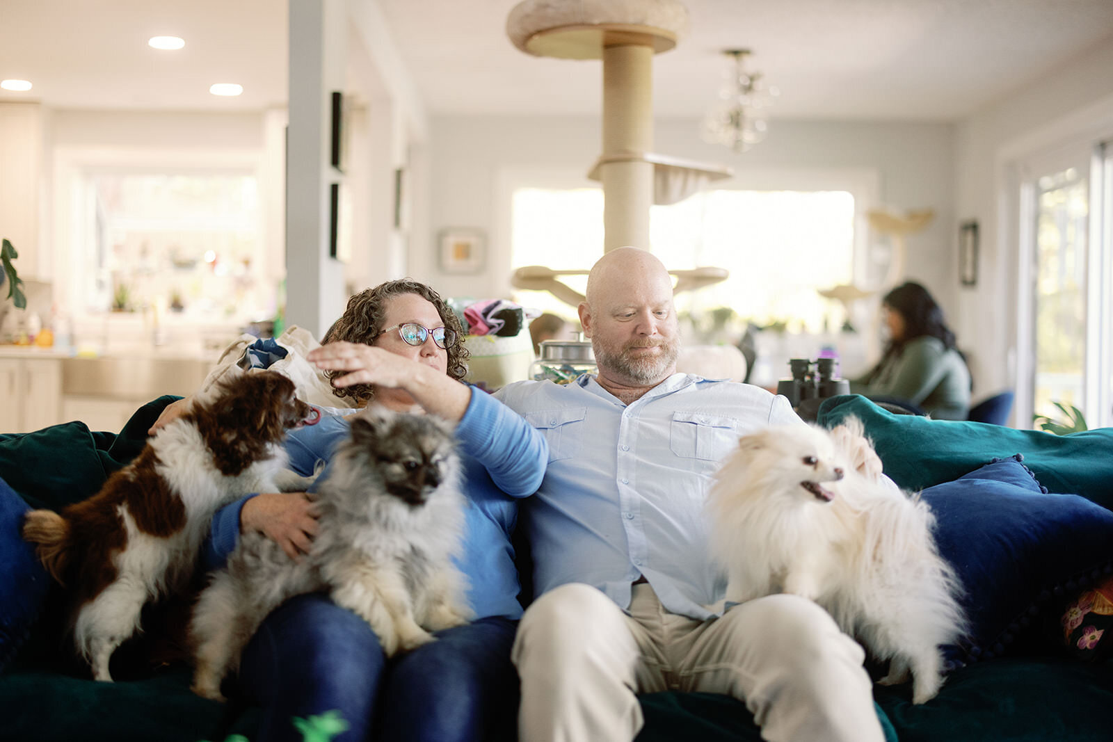 Couple relaxing on a couch, surrounded by their fluffy dogs, in a cozy living room.