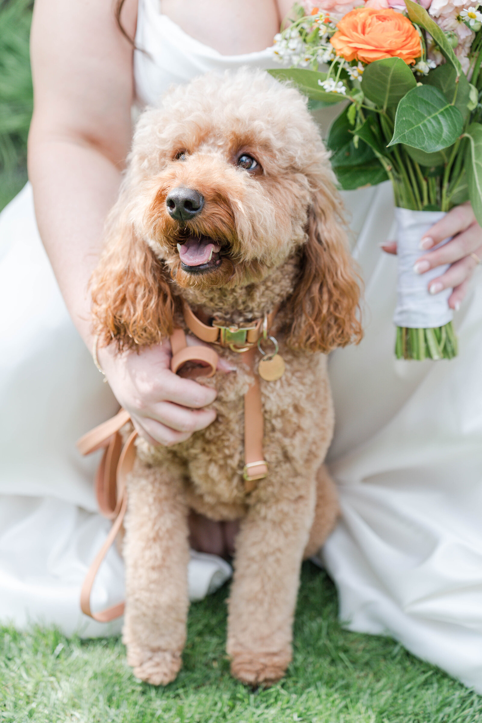 andrea-silva-photography-califorina-georgia-weddings-megan-arthur-rancho-de-la-palmas17