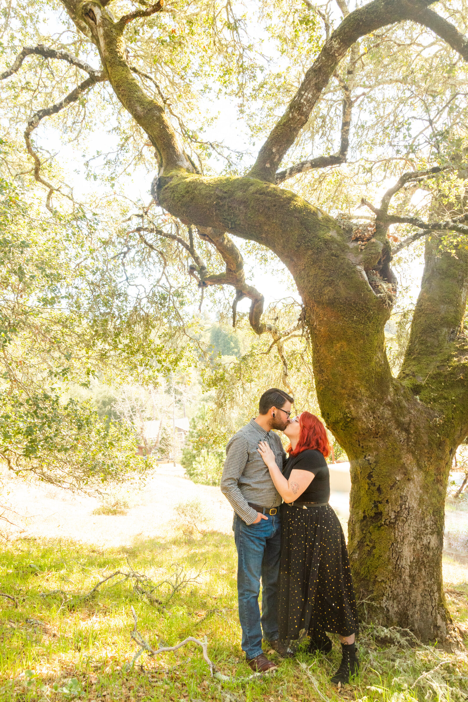 An tattooed engaged couple poses for photos in a redwood forest in Santa Cruz, Ca.