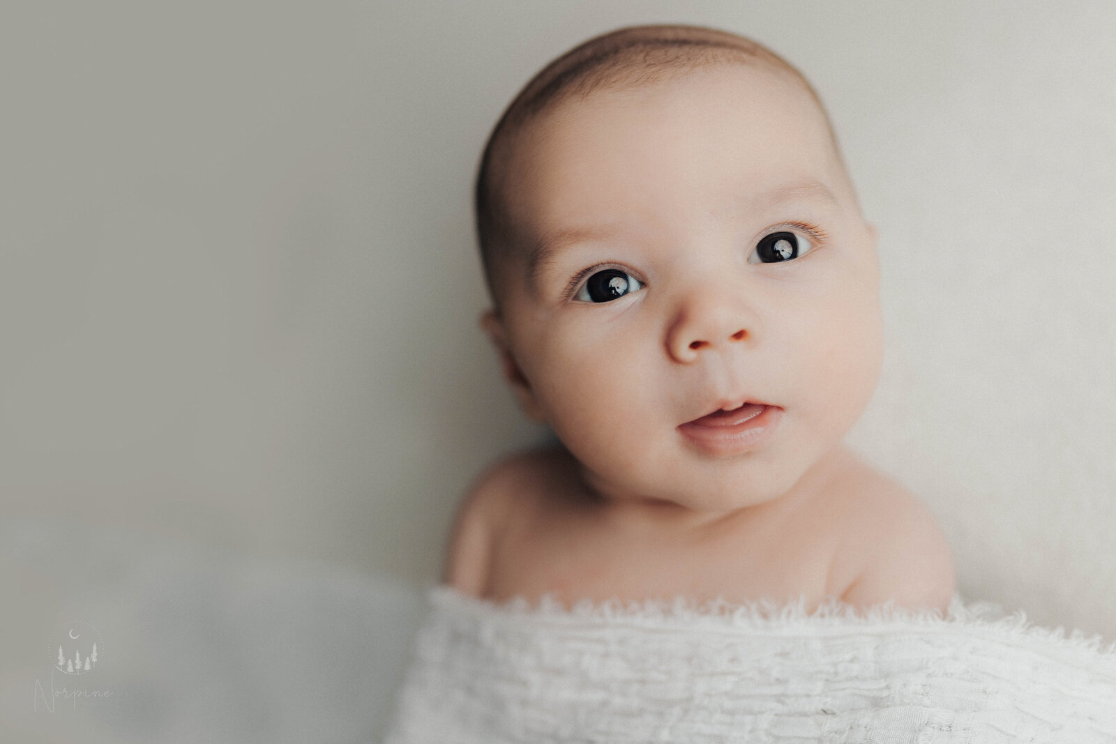 a gaylord michigan newborn baby in a photography session with white background and white blanket, turning to the left and looking just above the lens