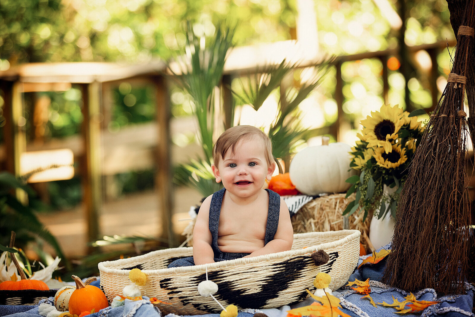 Orlando-Baby-Photographer-6